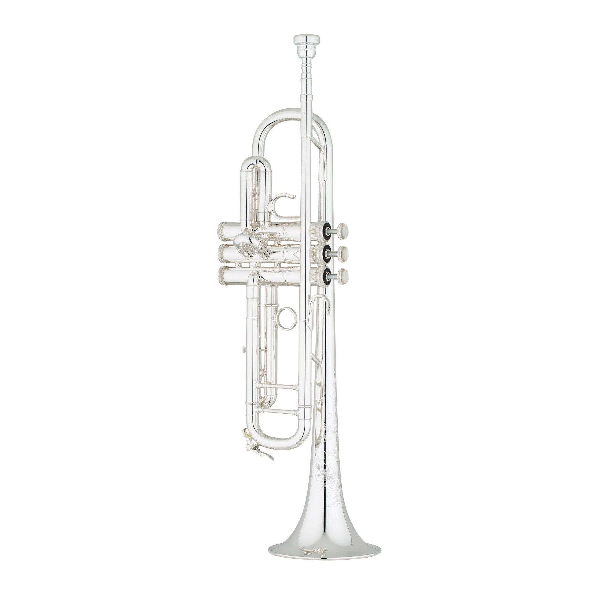 Schmidt trumpet clearance