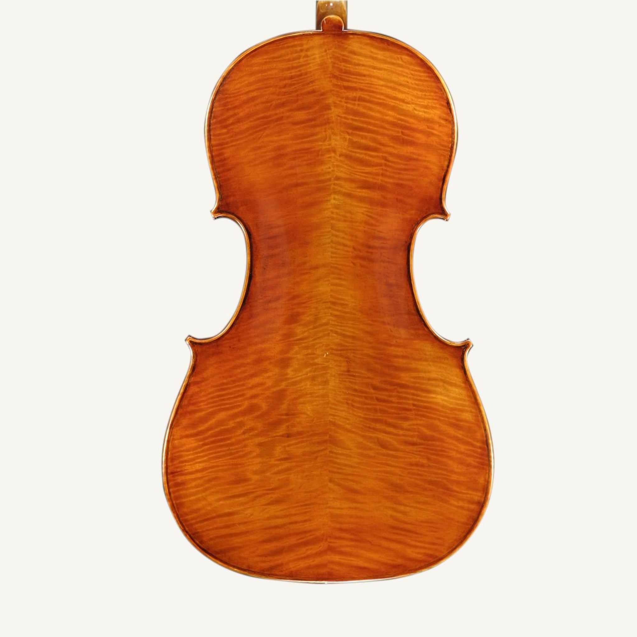 Snow 400 Cello | The Violin Shop at Schmitt Music