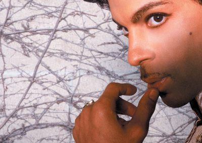 Prince, Musicology music book
