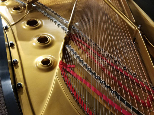 Used Steinway Model B 6'11" Ebony Satin Grand Piano