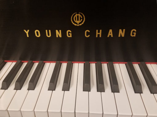 Used Young Chang G150 4'11" Ebony Satin Grand Piano
