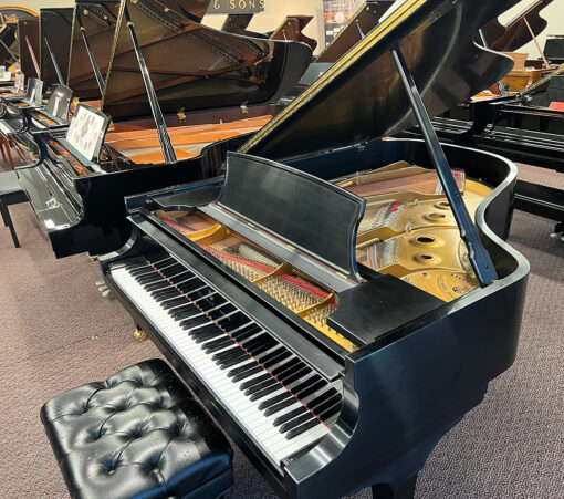 Steinway A ES Piano